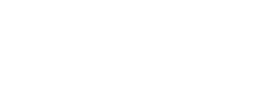 WordPress Website